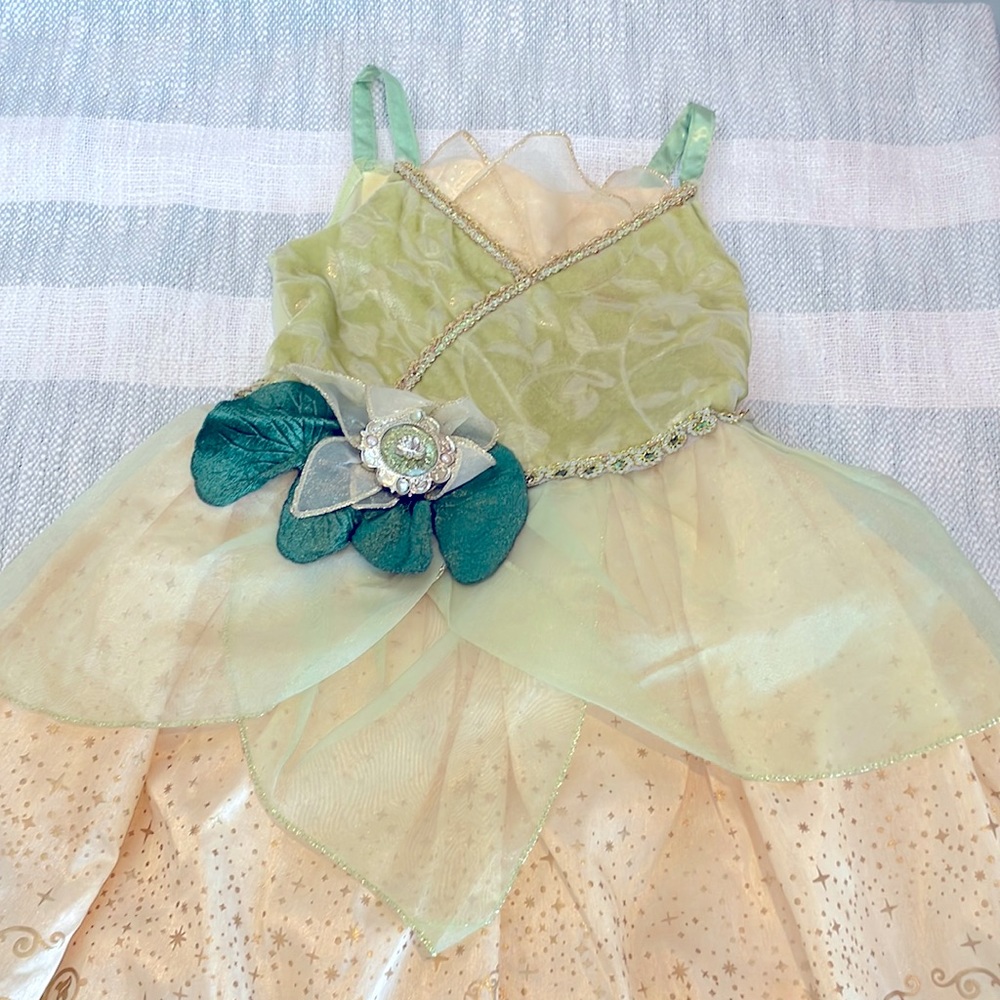 Disney Store Princess Tiana dress 4T